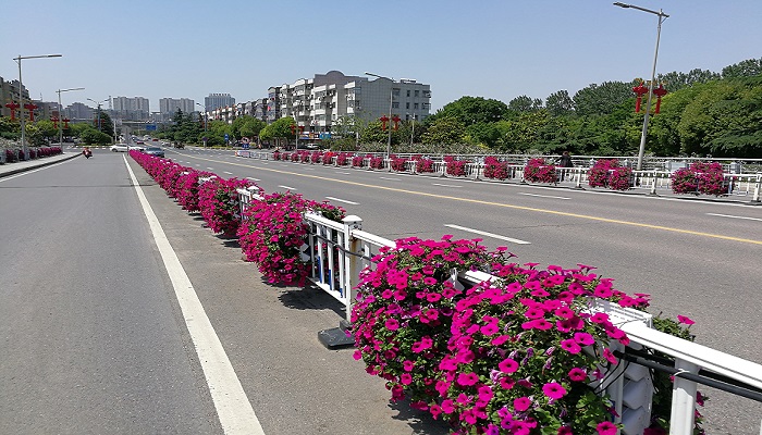 朗汀園林花箱，還未來一片藍(lán)天