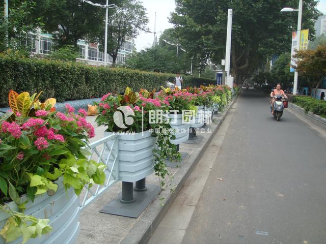 為南京點(diǎn)贊！擦亮生態(tài)之城名片！