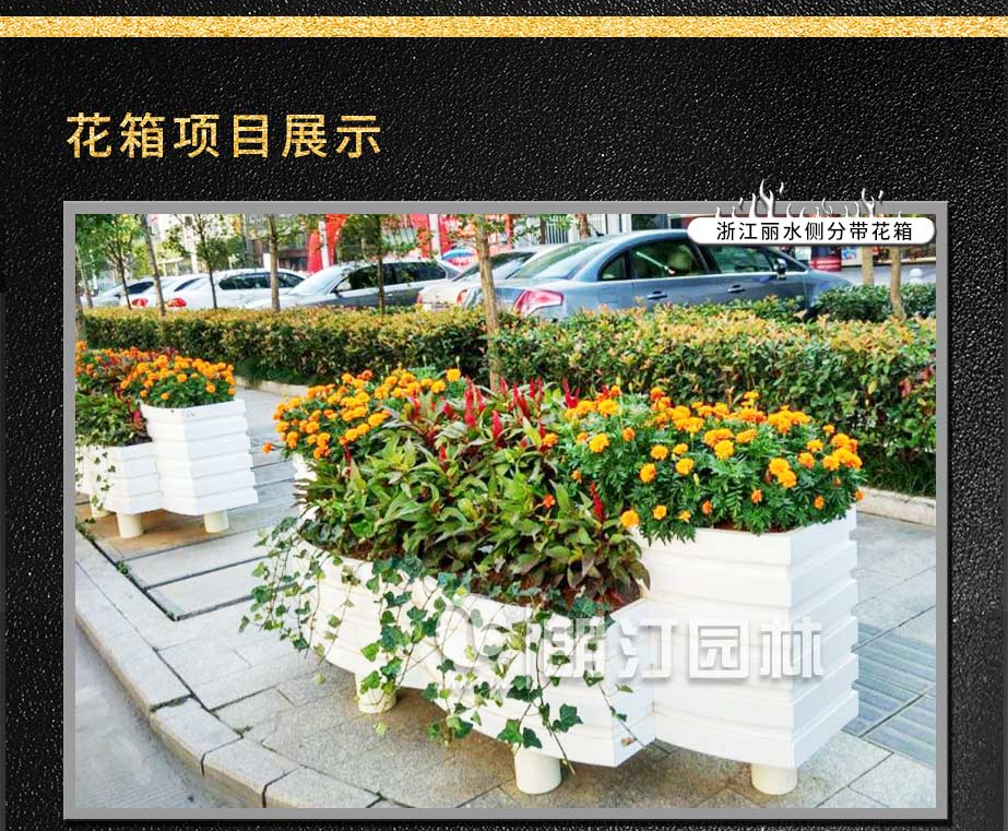 浙江麗水側(cè)分帶綠化項(xiàng)目