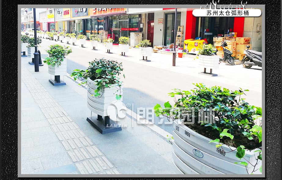 蘇州太倉(cāng)側(cè)分帶綠化項(xiàng)目