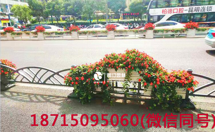 昆明北京路道路綠化，提升城市環(huán)境品質(zhì)