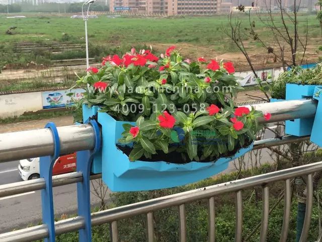 護(hù)欄綠化