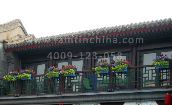 陽(yáng)臺(tái)綠化