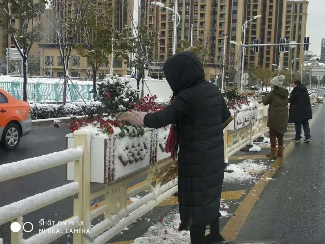 大雪里的水墨丹青藝術(shù)花箱